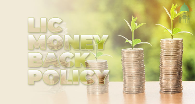 lic money back policy