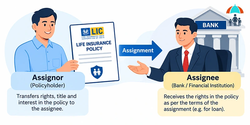 assignor and assignee-assignment in life insurance
